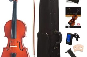 Top 5 Violin Black Friday Deals 2023 & Cyber Monday Sales