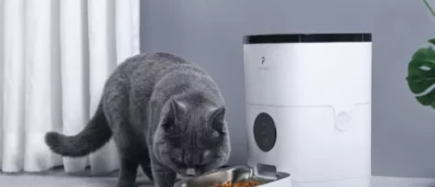 Automatic Cat Feeder Black Friday Deals 2023: What to Expect