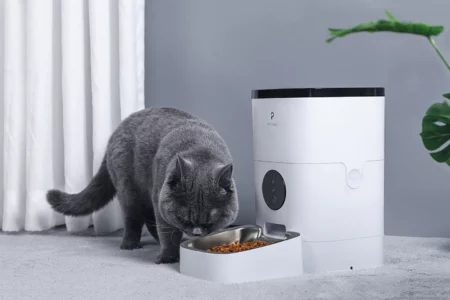 Automatic Cat Feeder Black Friday Deals 2023: What to Expect