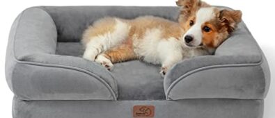 Black Friday 2023 Deals on Dog Beds : What to Expect