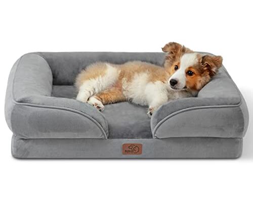 Black Friday 2023 Deals on Dog Beds : What to Expect